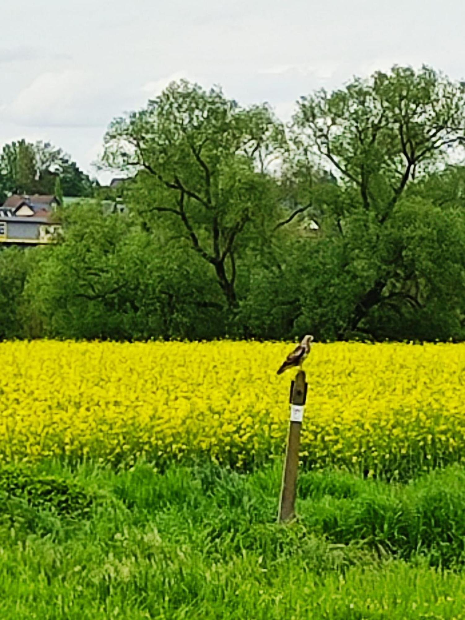 Ferienwohnung An Der Lahn Limburg an der Lahn Exterior foto